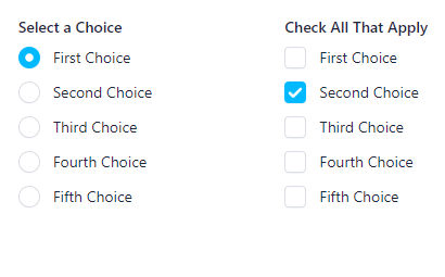 Custom Checkbox & Radio Button